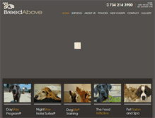 Tablet Screenshot of breedabove.com